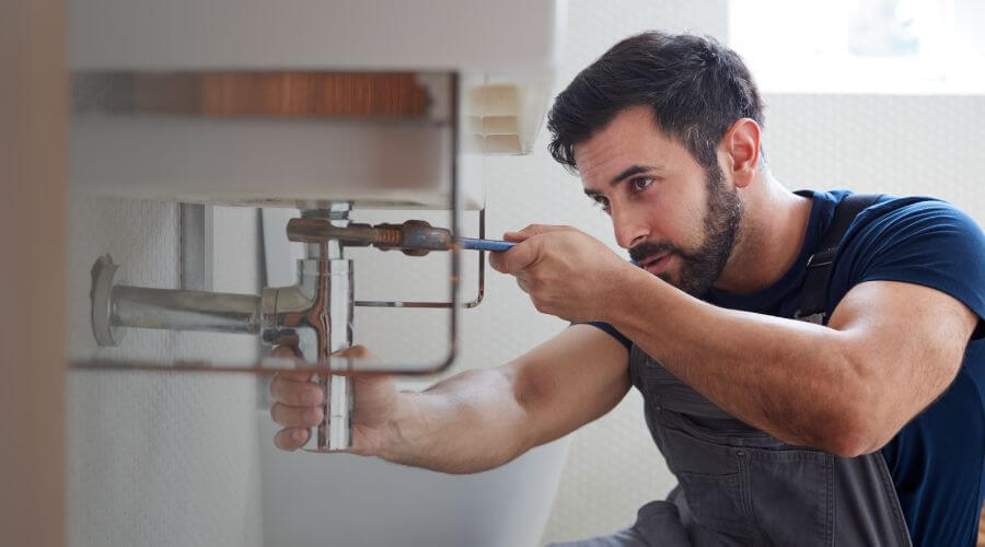 Trap Repair/Replacement in Fruitport, MI